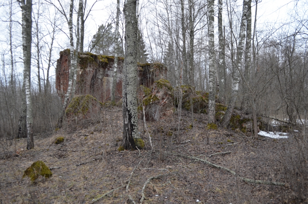 Руины Успенского храма в Островках. Фото Дениса Ивлева. 2016 г.